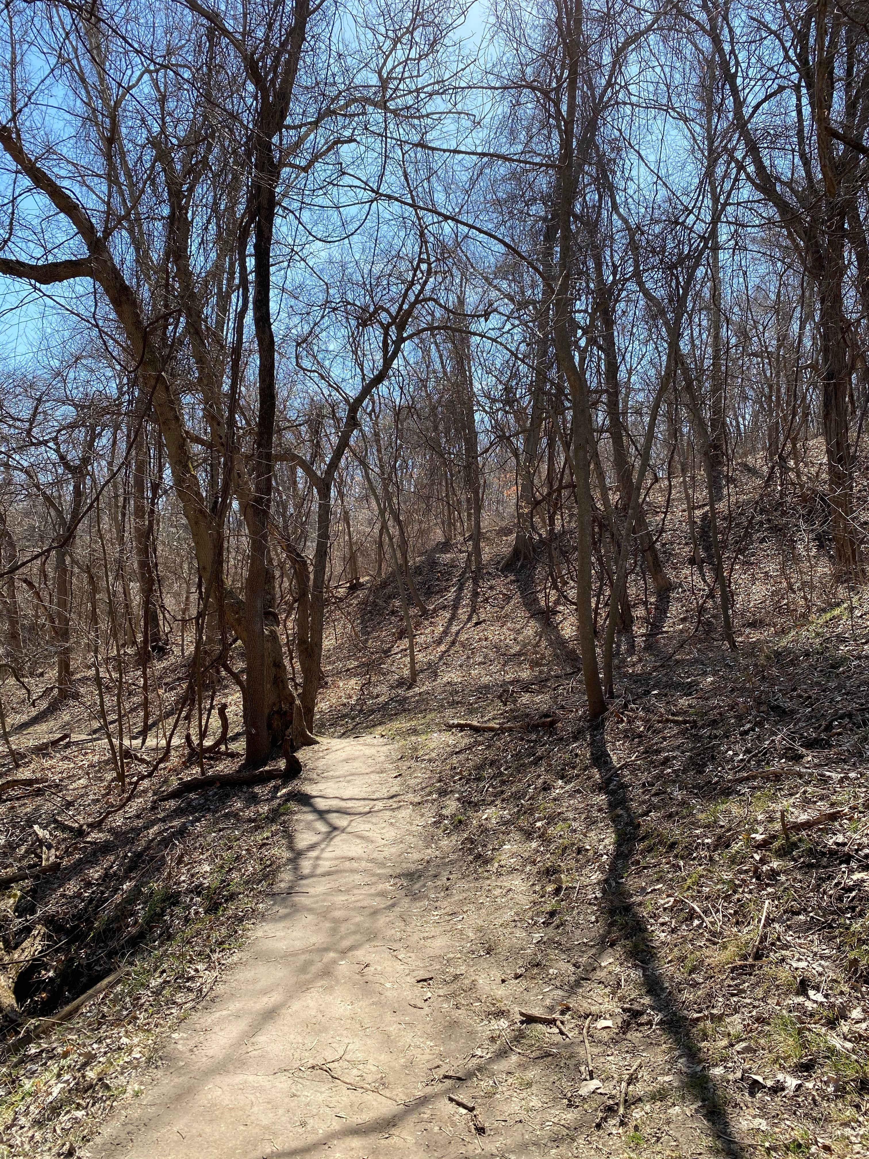 Camper-submitted photo at Weston Bend State Park Campground near Plattsburg, MO