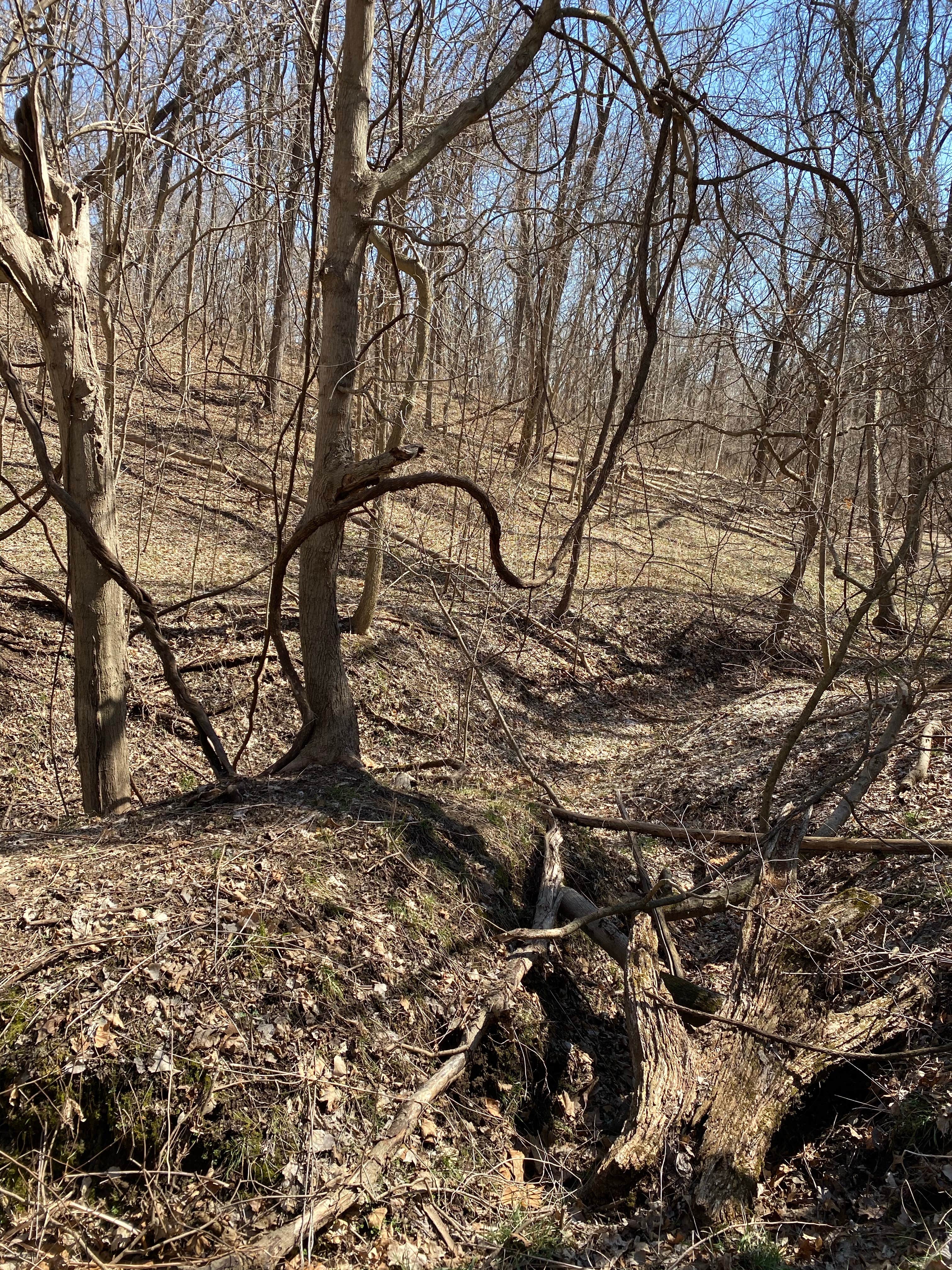 Camper-submitted photo at Weston Bend State Park Campground near Plattsburg, MO