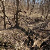 Review photo of Weston Bend State Park Campground by Chad Z., May 11, 2020