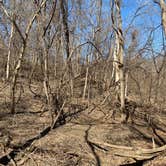 Review photo of Weston Bend State Park Campground by Chad Z., May 11, 2020