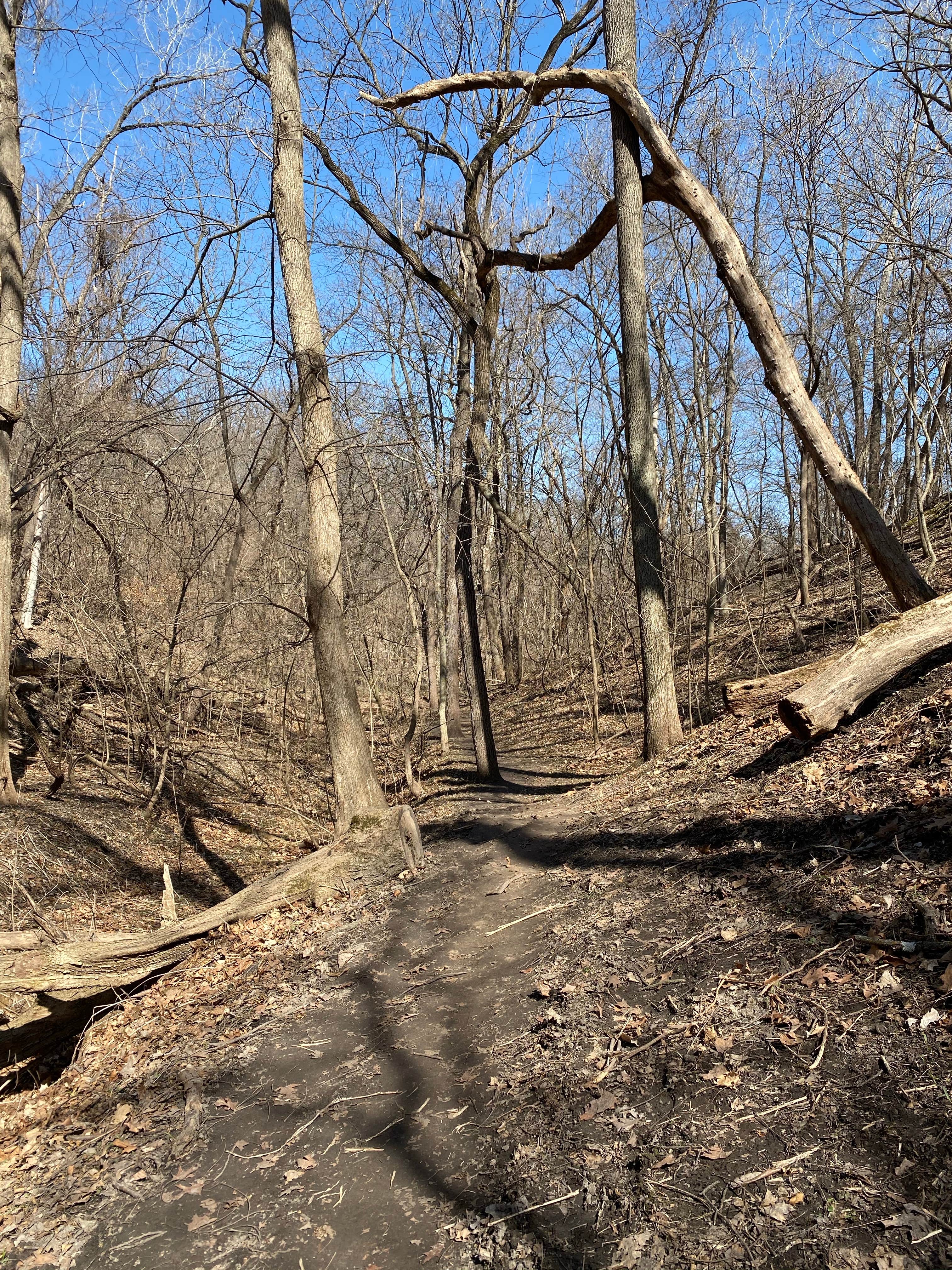 Camper submitted image from Weston Bend State Park Campground - 5