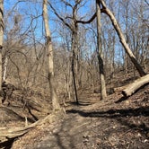 Review photo of Weston Bend State Park Campground by Chad Z., May 11, 2020