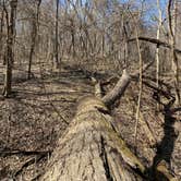 Review photo of Weston Bend State Park Campground by Chad Z., May 11, 2020