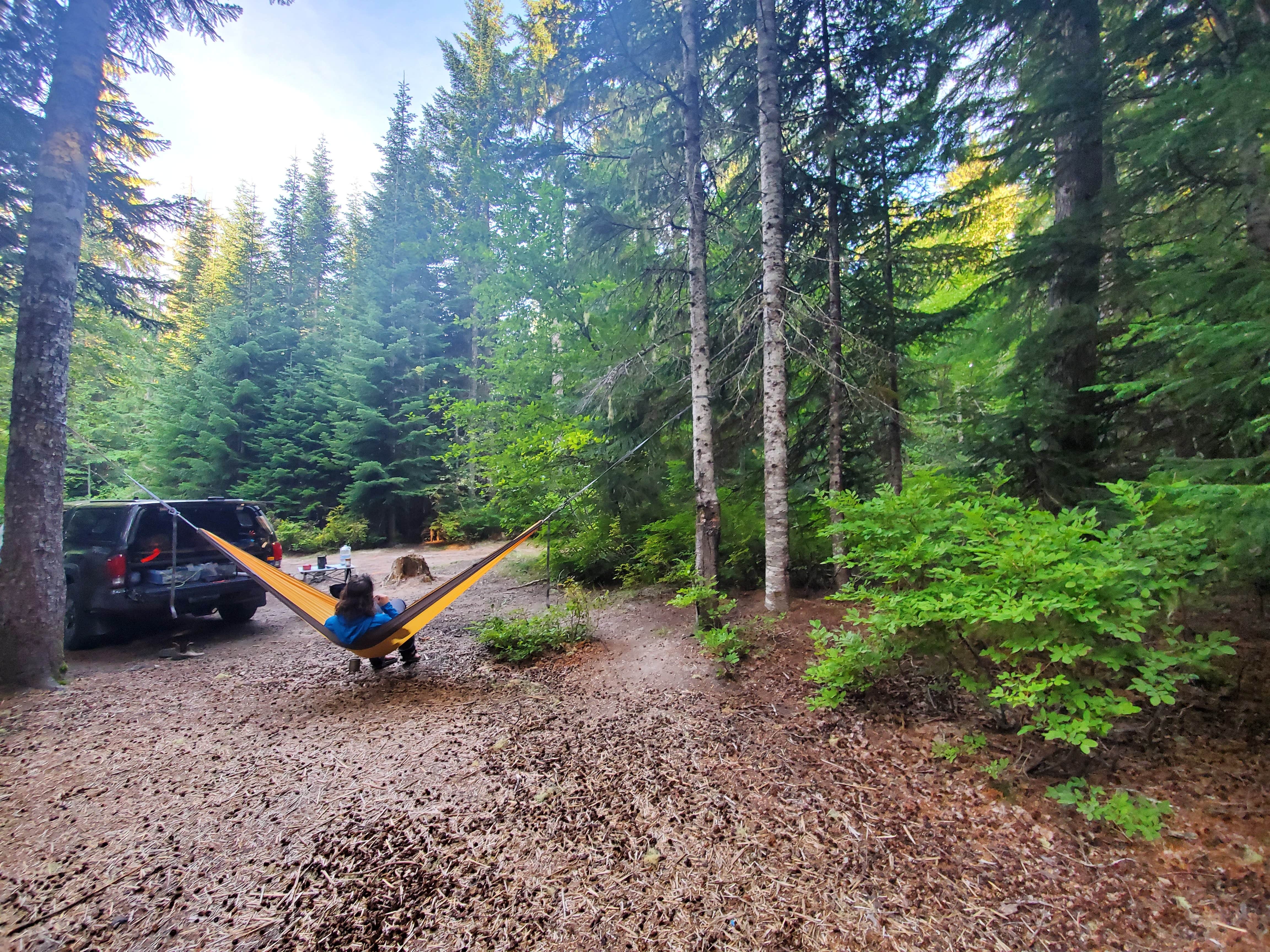 Camper-submitted photo at Mount St. Helens Dispersed Camping near Woodland, WA