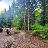 Review photo of Mount St. Helens Dispersed Camping by Madison D., May 11, 2020