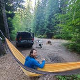 Review photo of Mount St. Helens Dispersed Camping by Madison D., May 11, 2020