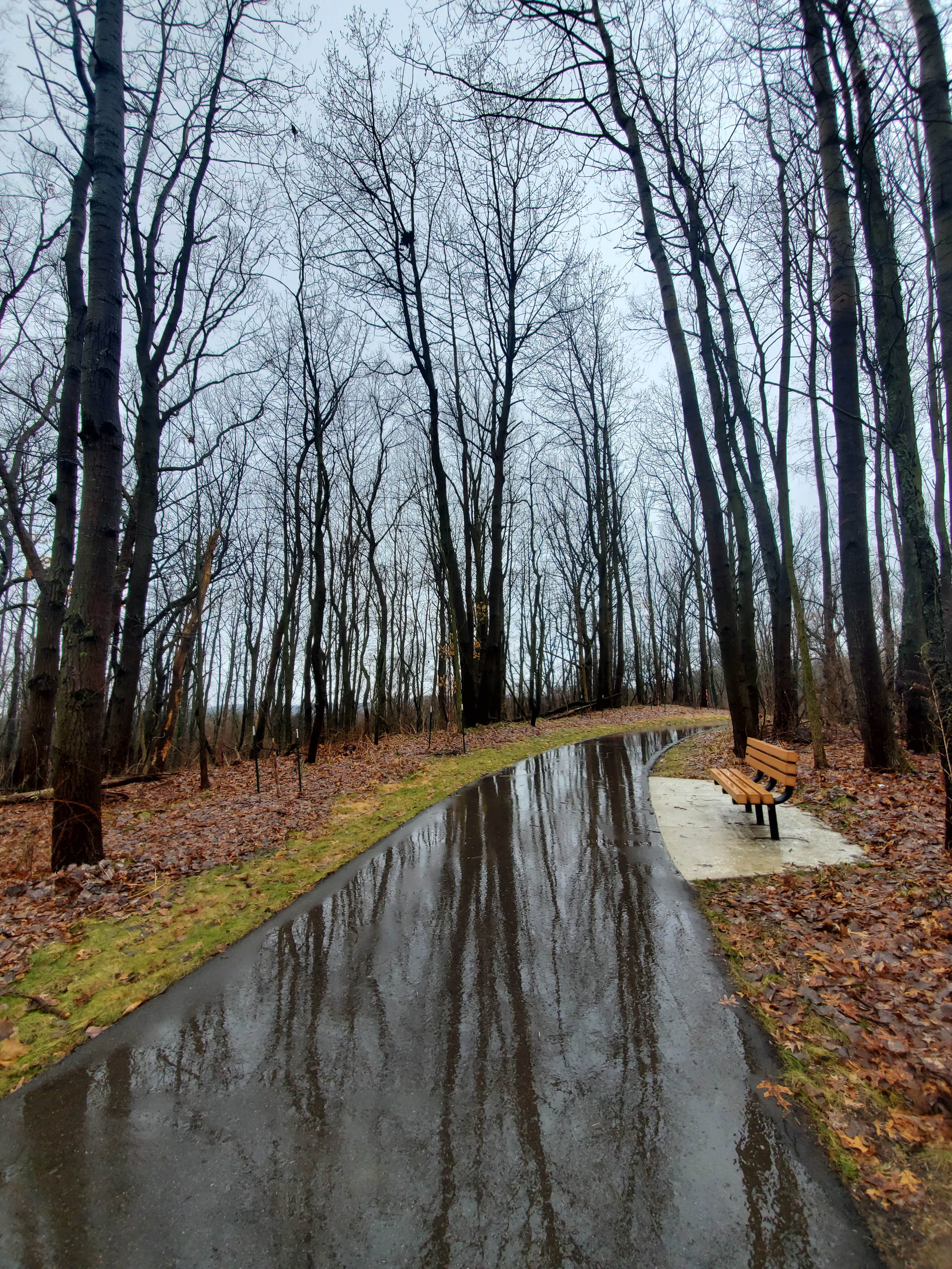 Camper submitted image from Green Lake Rustic Campground — Waterloo Recreation Area - 5