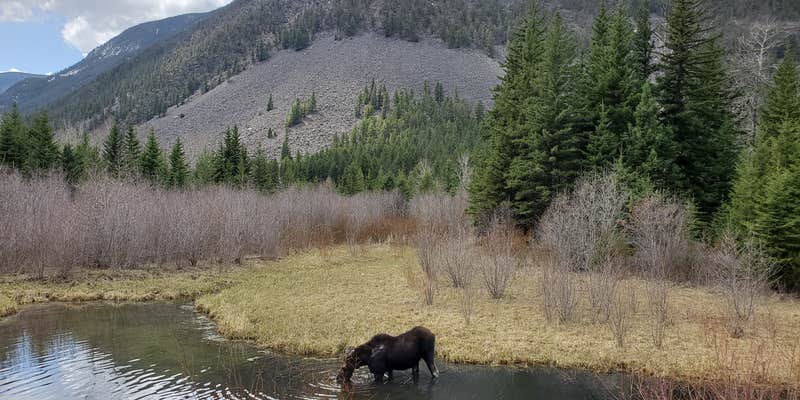 Camper submitted image from Hicks Park