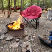 Review photo of Rip Van Winkle Campgrounds by Richard V., May 11, 2020