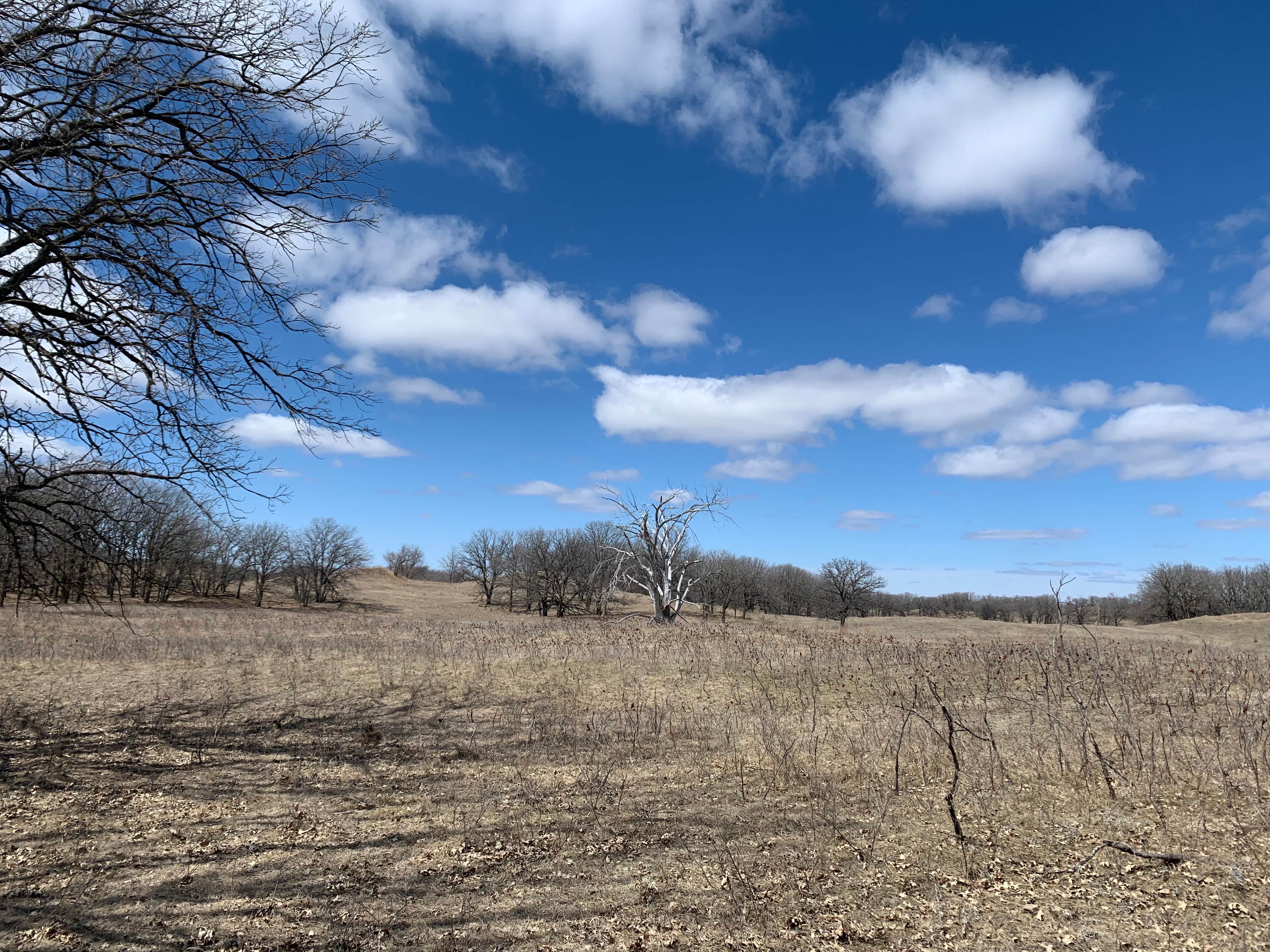 Christina M.'s photo of a dispersed camping area at Sheyenne National Grassland near McLeod, ND