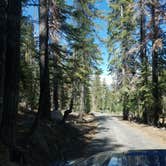 Review photo of Mono Hot Springs by Becky O., September 24, 2017