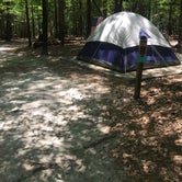 Review photo of Magnolia Springs State Park Campground by Jay B., May 12, 2020
