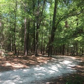 Review photo of Magnolia Springs State Park Campground by Jay B., May 12, 2020