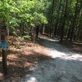 Review photo of Magnolia Springs State Park Campground by Jay B., May 12, 2020