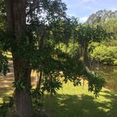 Review photo of Magnolia Springs State Park Campground by Jay B., May 12, 2020