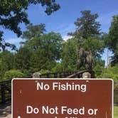 Review photo of Magnolia Springs State Park Campground by Jay B., May 12, 2020