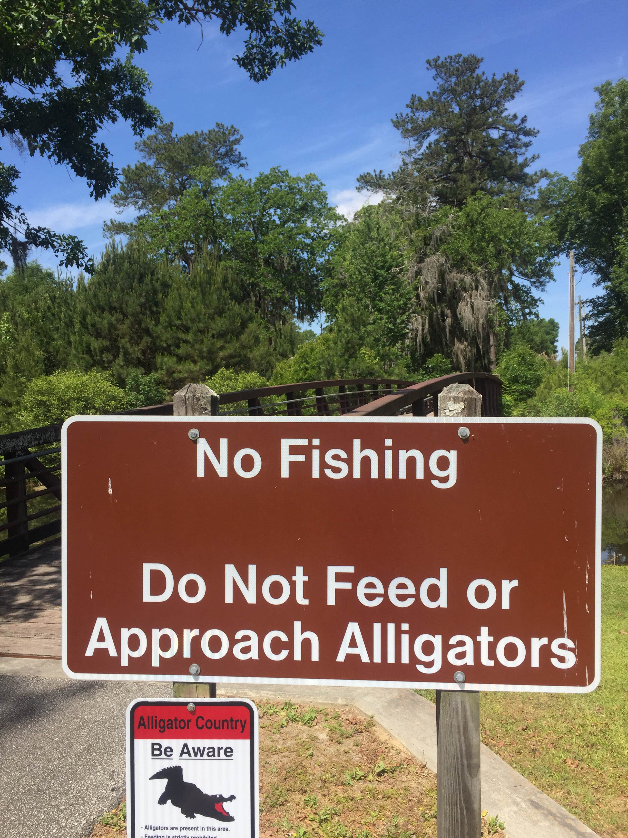 Camper submitted image from Magnolia Springs State Park Campground - 5