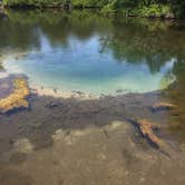 Review photo of Magnolia Springs State Park Campground by Jay B., May 12, 2020