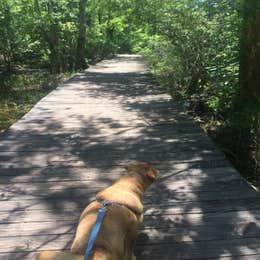 Magnolia Springs State Park Campground