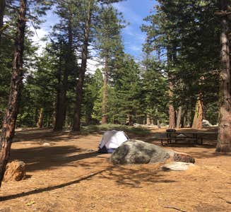 Camper-submitted photo from Thousand Trails Yosemite Lakes