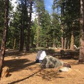 Review photo of Pinecrest Campground by Christy K., June 30, 2016