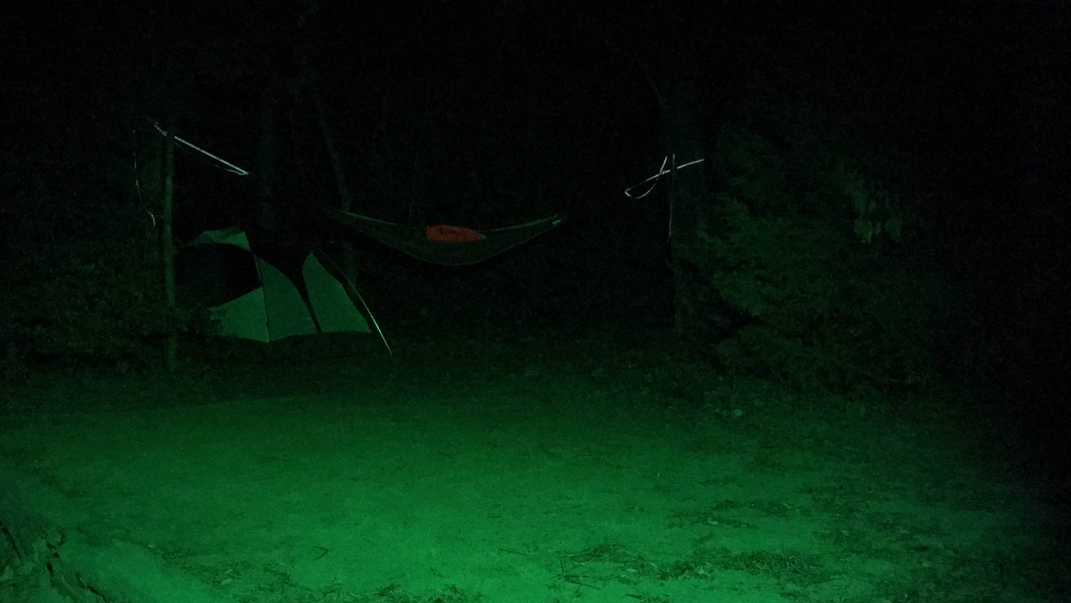 Camper-submitted photo at Purtis Creek State Park Campground near Wills Point, TX