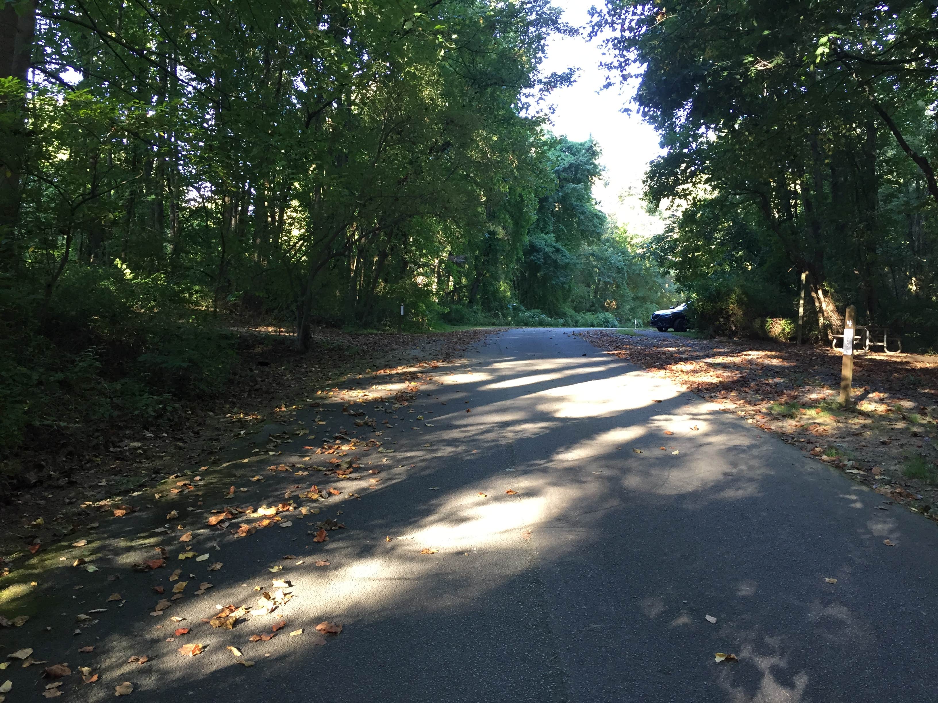 Camper submitted image from Susquehanna State Park Campground - 4