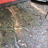 Review photo of Susquehanna State Park Campground by Jennifer S., September 24, 2017