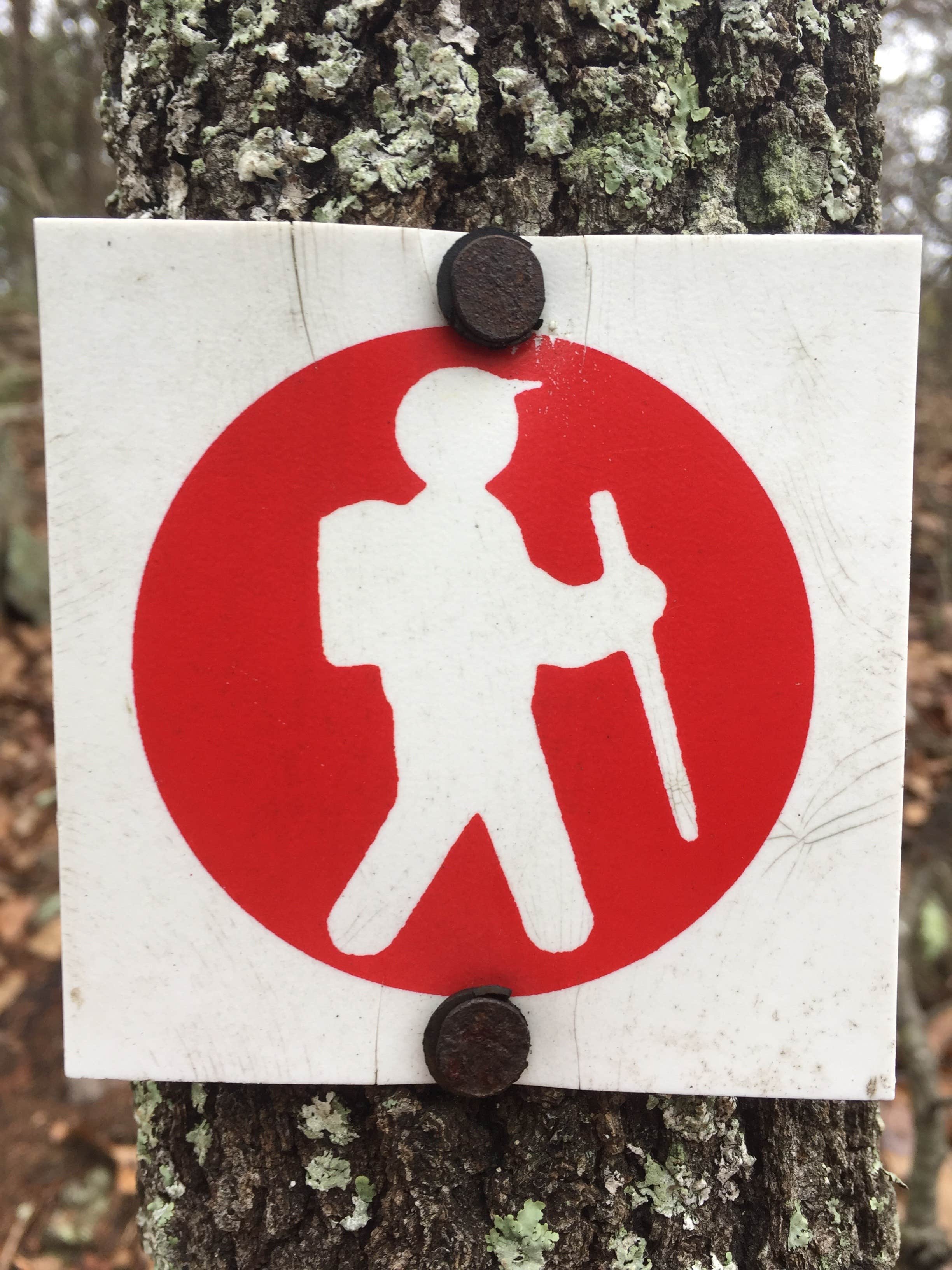 Signs & Maps