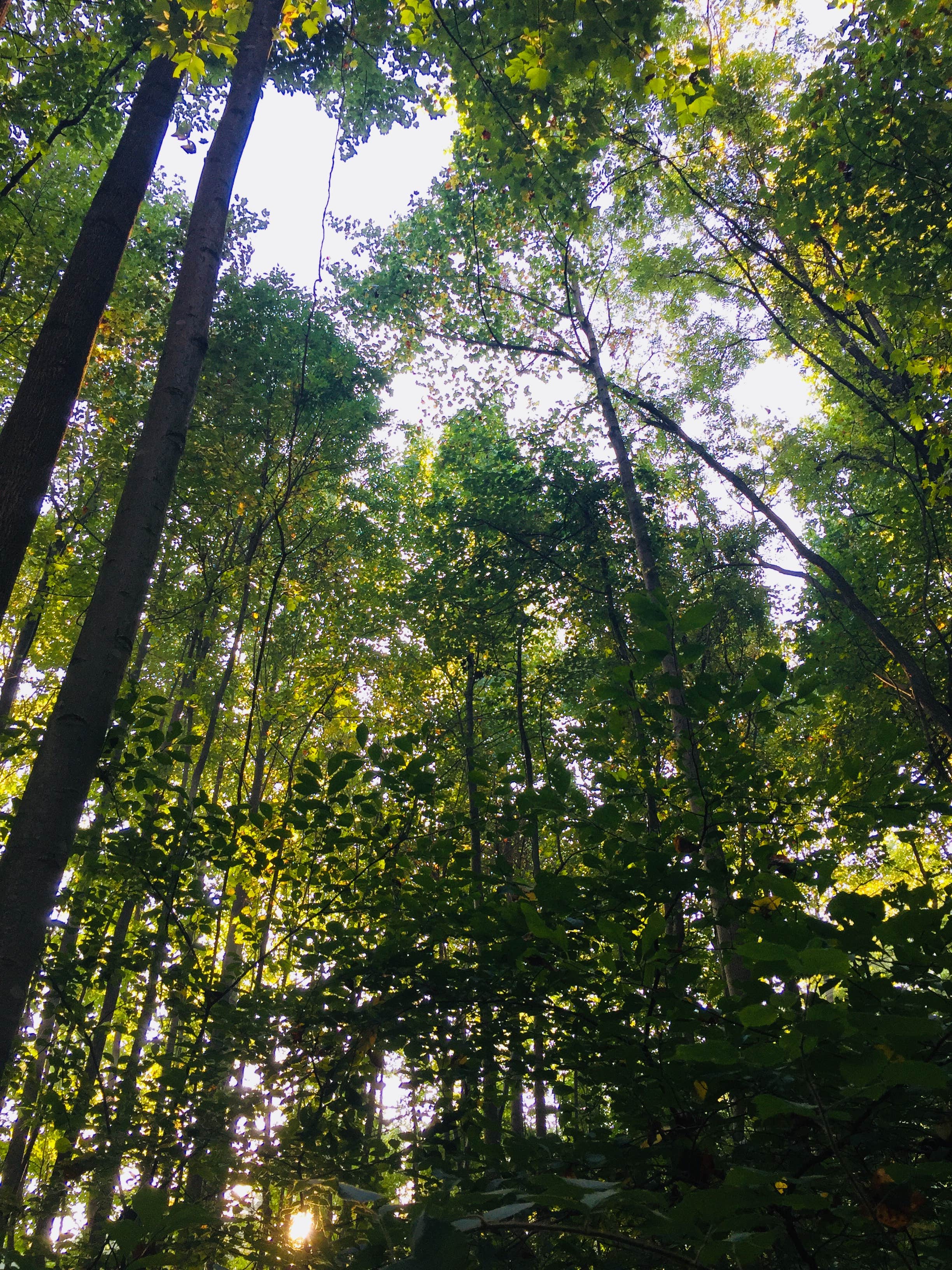Camper-submitted photo at Susquehanna State Park Campground near Long Green, MD