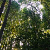 Review photo of Susquehanna State Park Campground by Jennifer S., September 24, 2017