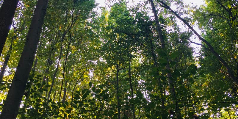 Camper submitted image from Susquehanna State Park Campground