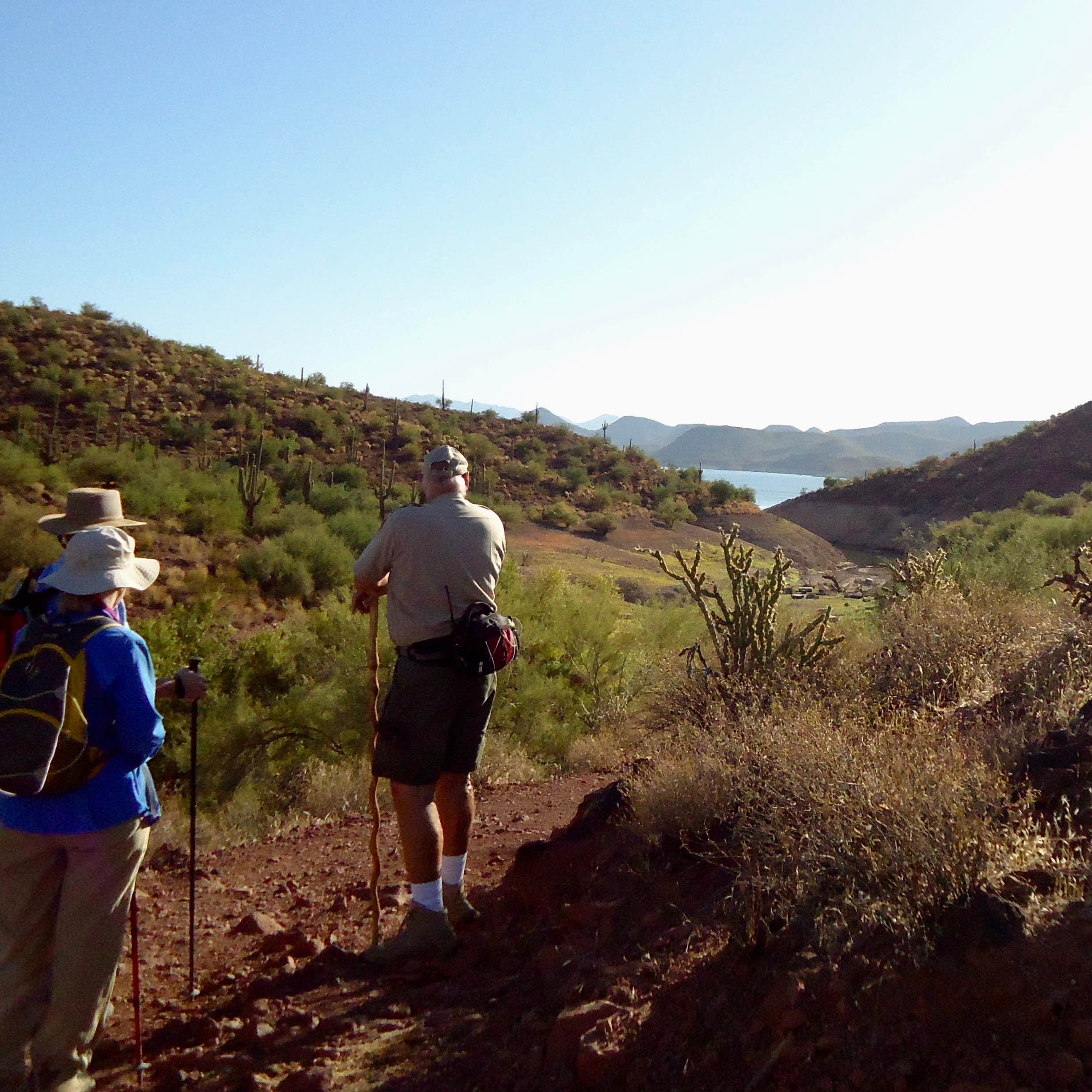 Lake Pleasant Regional Park Campground Camping The Dyrt