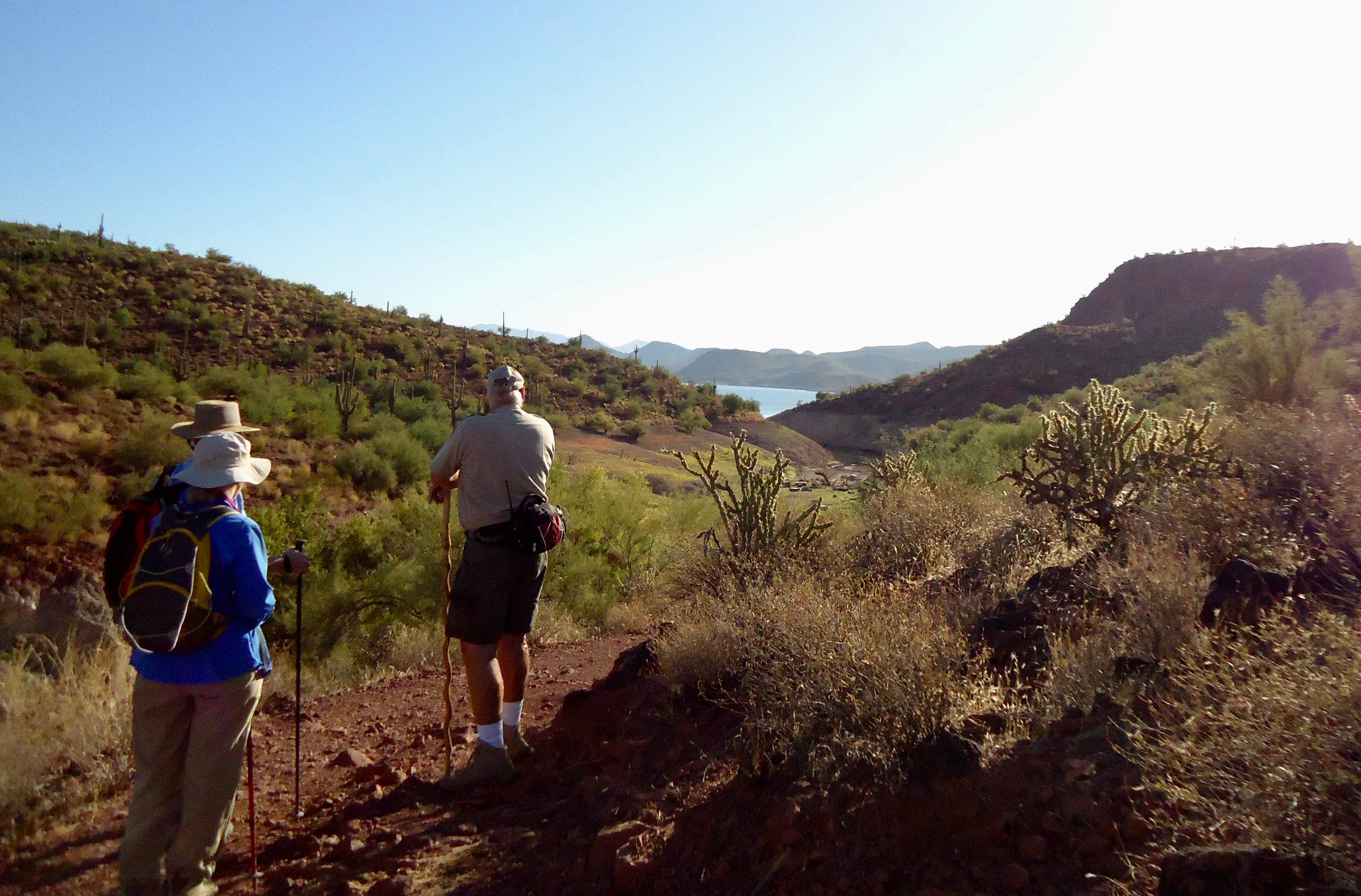 Camper submitted image from Lake Pleasant Regional Park Campground - 5