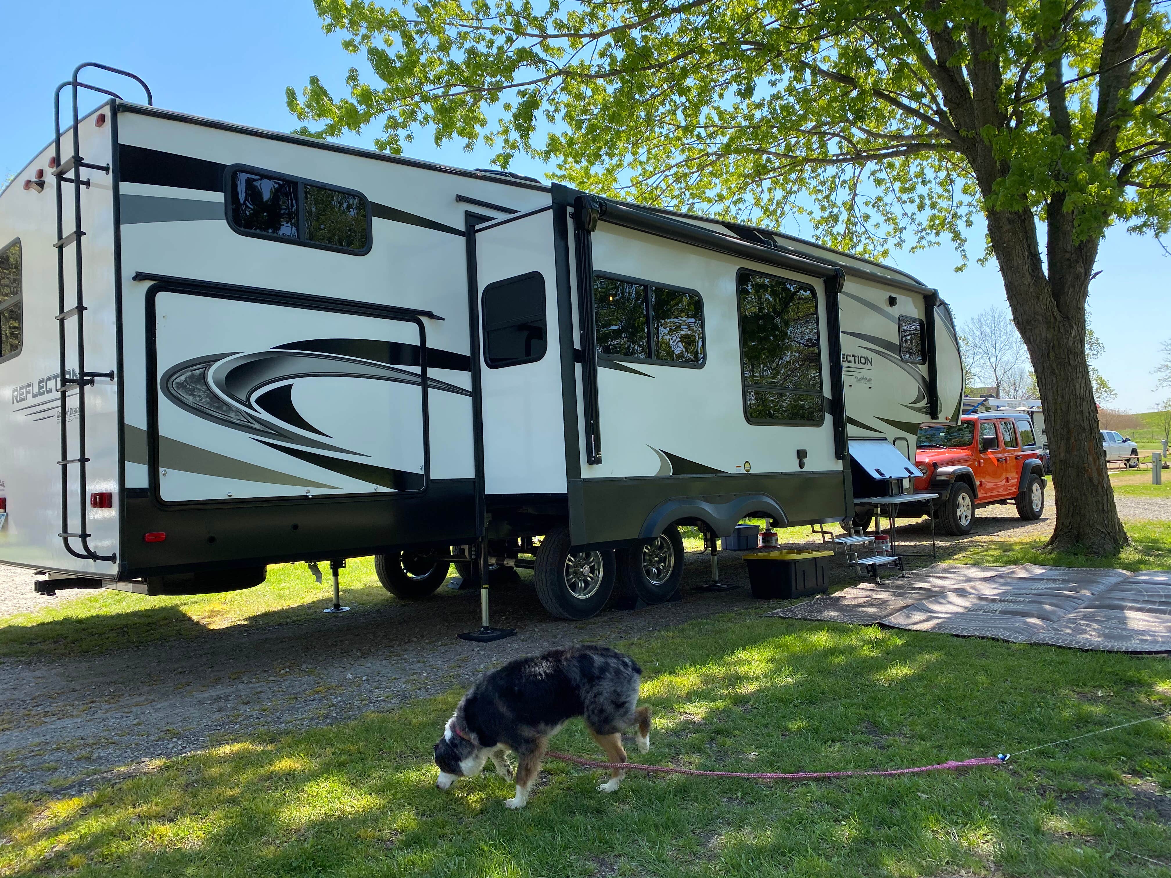 Pete M.'s photo of camping with pets at Newton KOA near Ackworth, IA