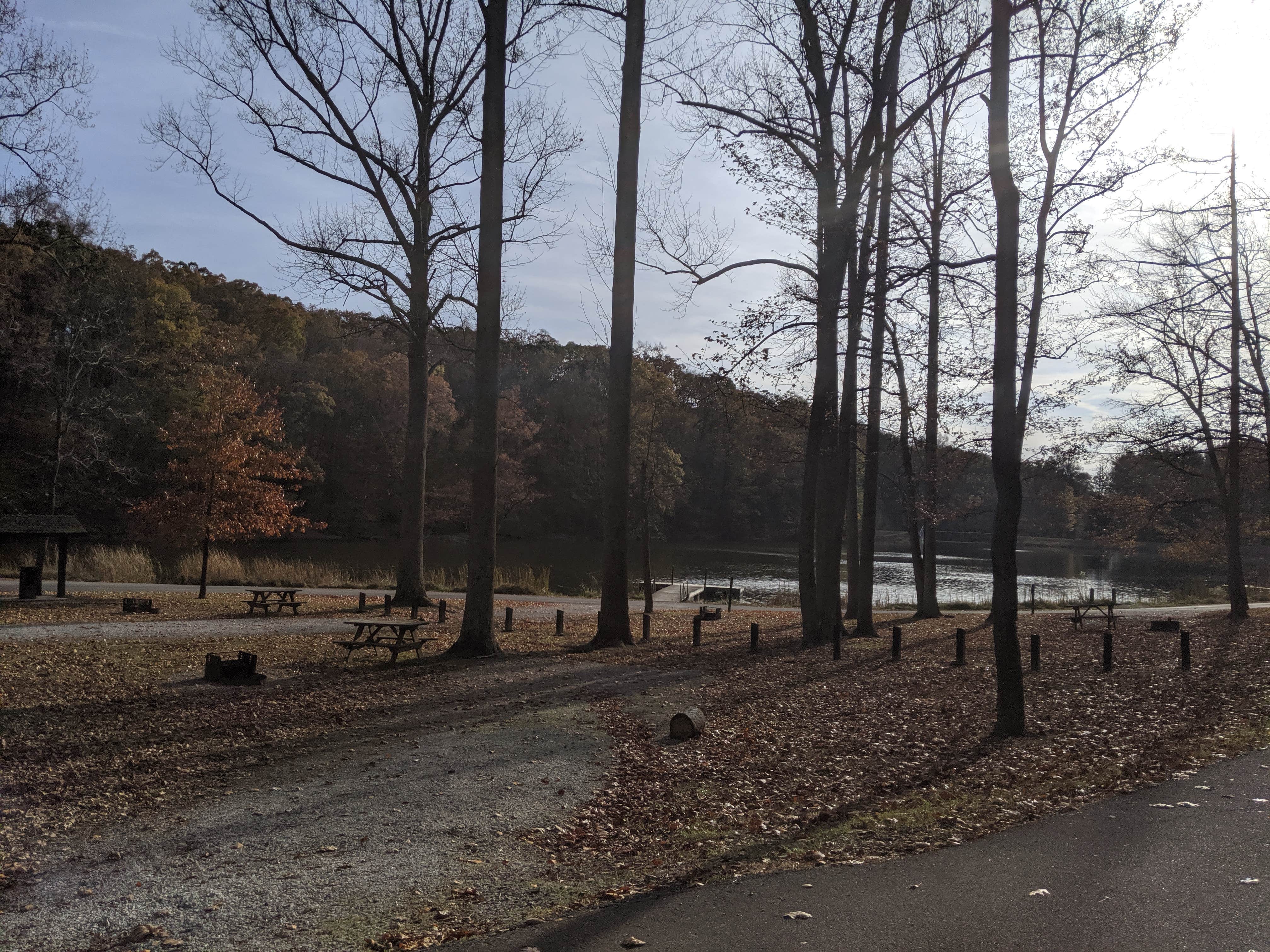 Camper-submitted photo at Jackson Washington State Forest near Hoosier National Forest