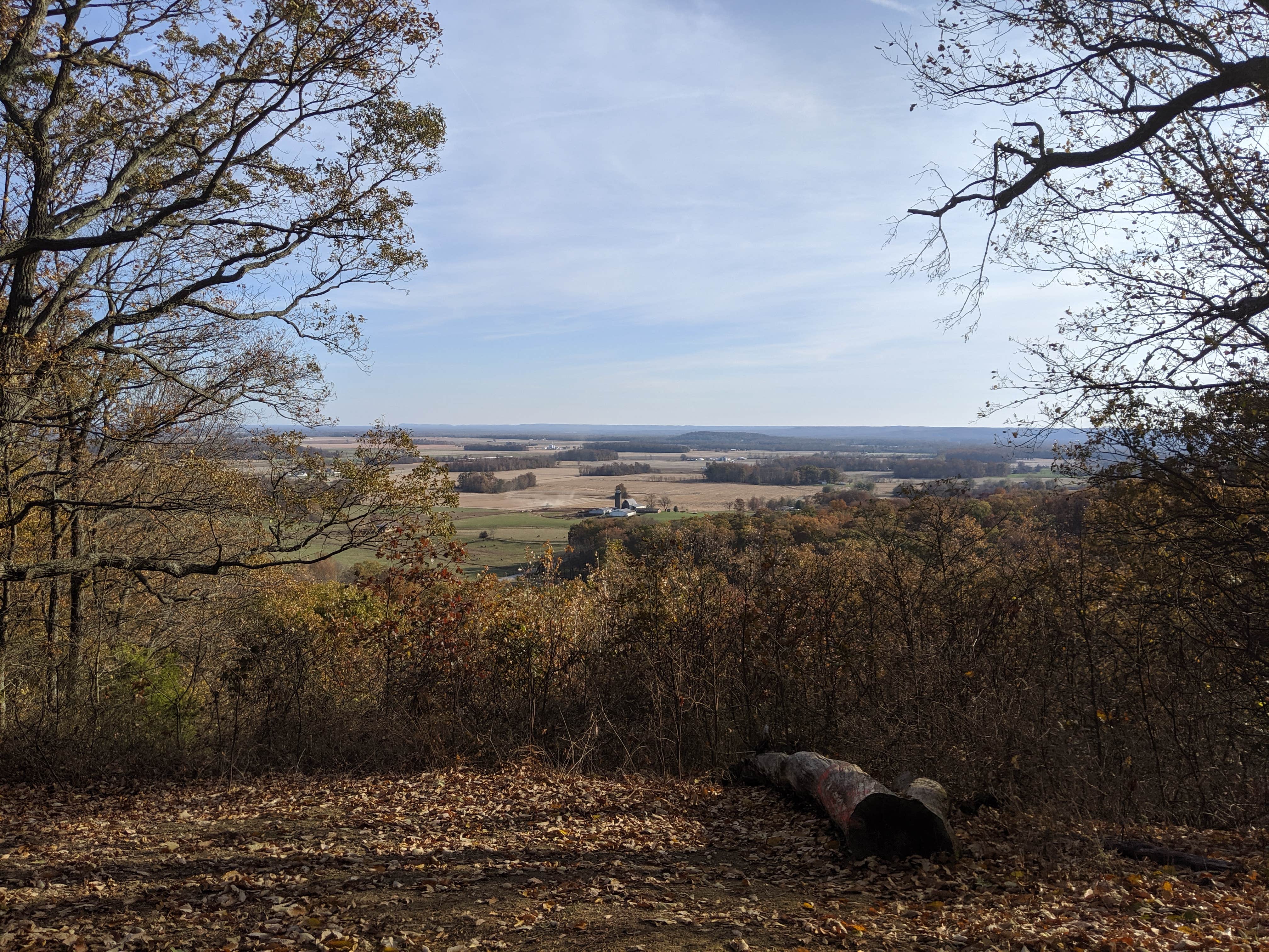 Camper-submitted photo at Jackson Washington State Forest near Scottsburg, IN