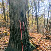 Review photo of Jackson Washington State Forest by Stephen & Theresa B., May 12, 2020