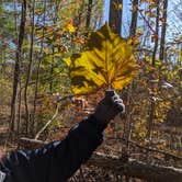 Review photo of Jackson Washington State Forest by Stephen & Theresa B., May 12, 2020