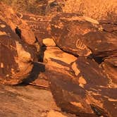 Review photo of White Tank Mountain by Chenery K., September 14, 2017