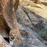 Review photo of Wedge Overlook by Zach R., May 12, 2020