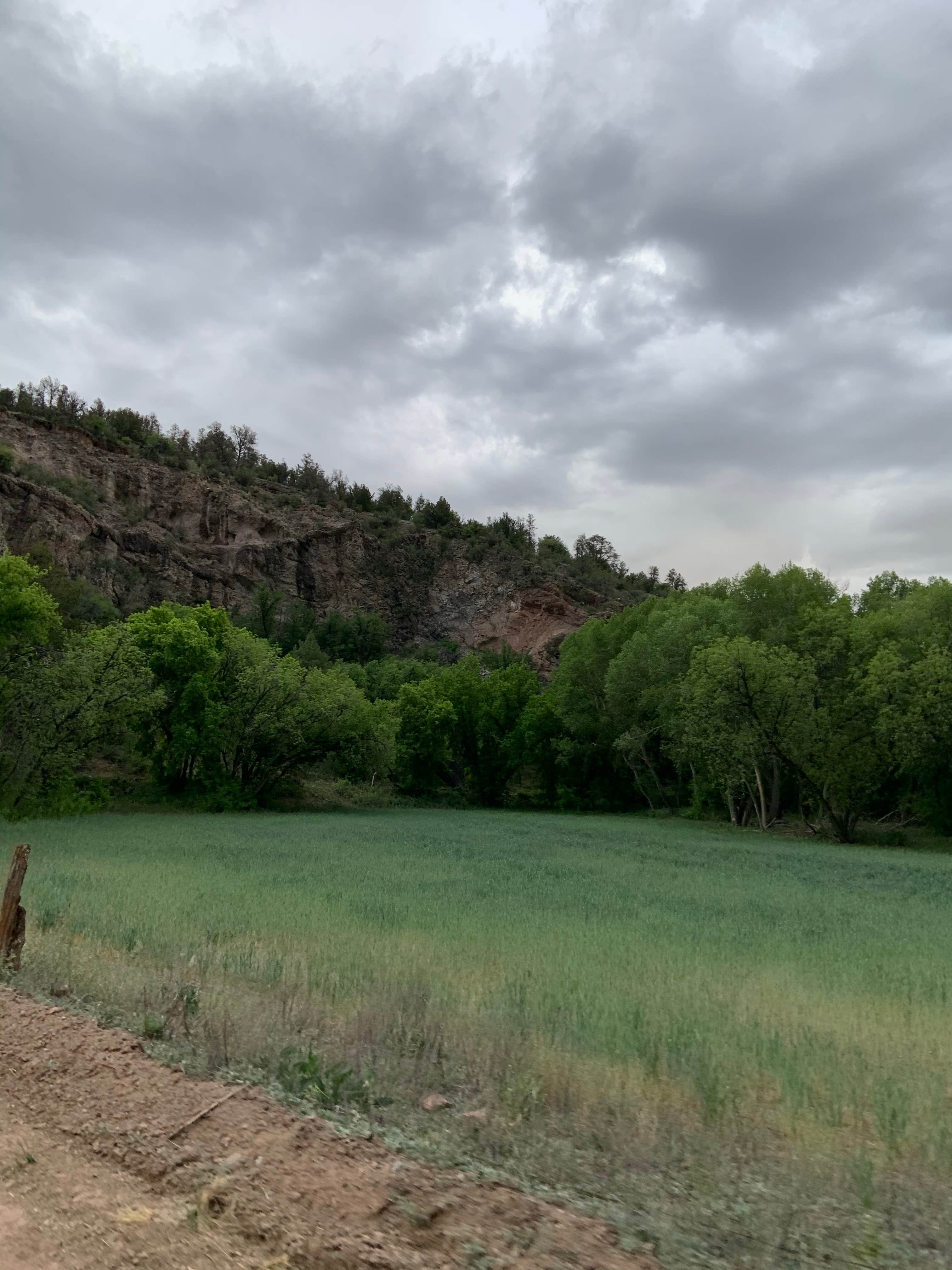 Camping near Owl Creek Campground: Honeymoon Campground, Blue, Arizona