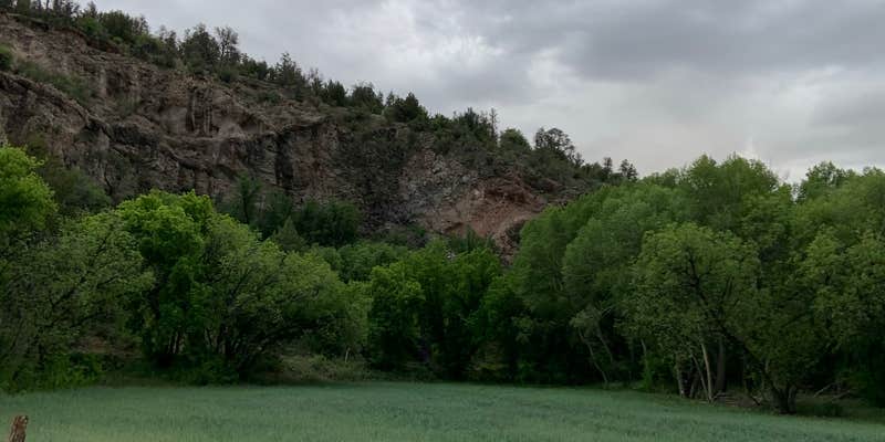 Camper submitted image from Honeymoon Campground