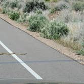 Review photo of Snow Canyon State Park Campground by Jake C., May 13, 2020