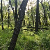 Review photo of Yellow Banks County Park by Willy W., May 13, 2020