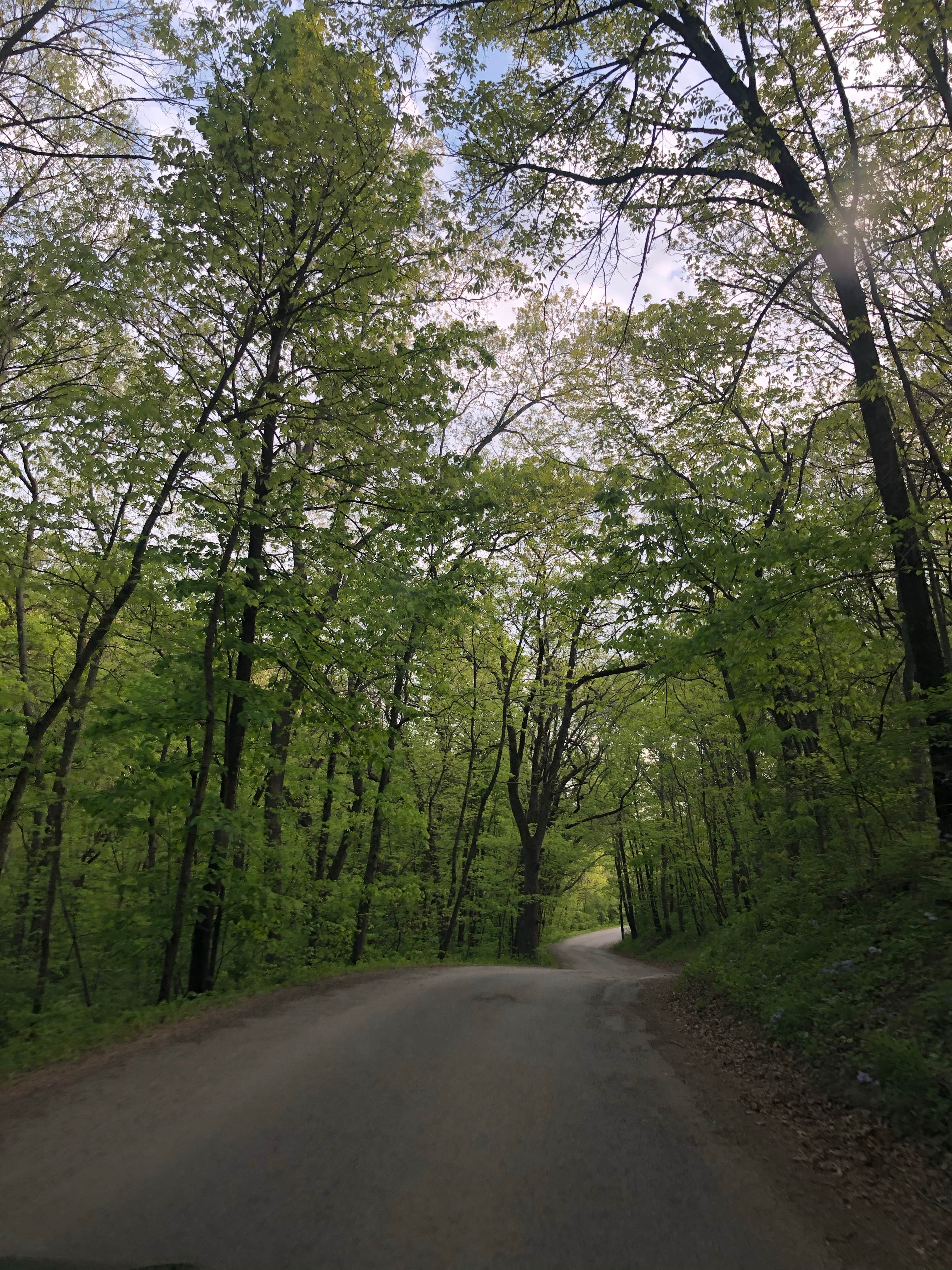 Camper-submitted photo at Yellow Banks County Park near Chariton, IA