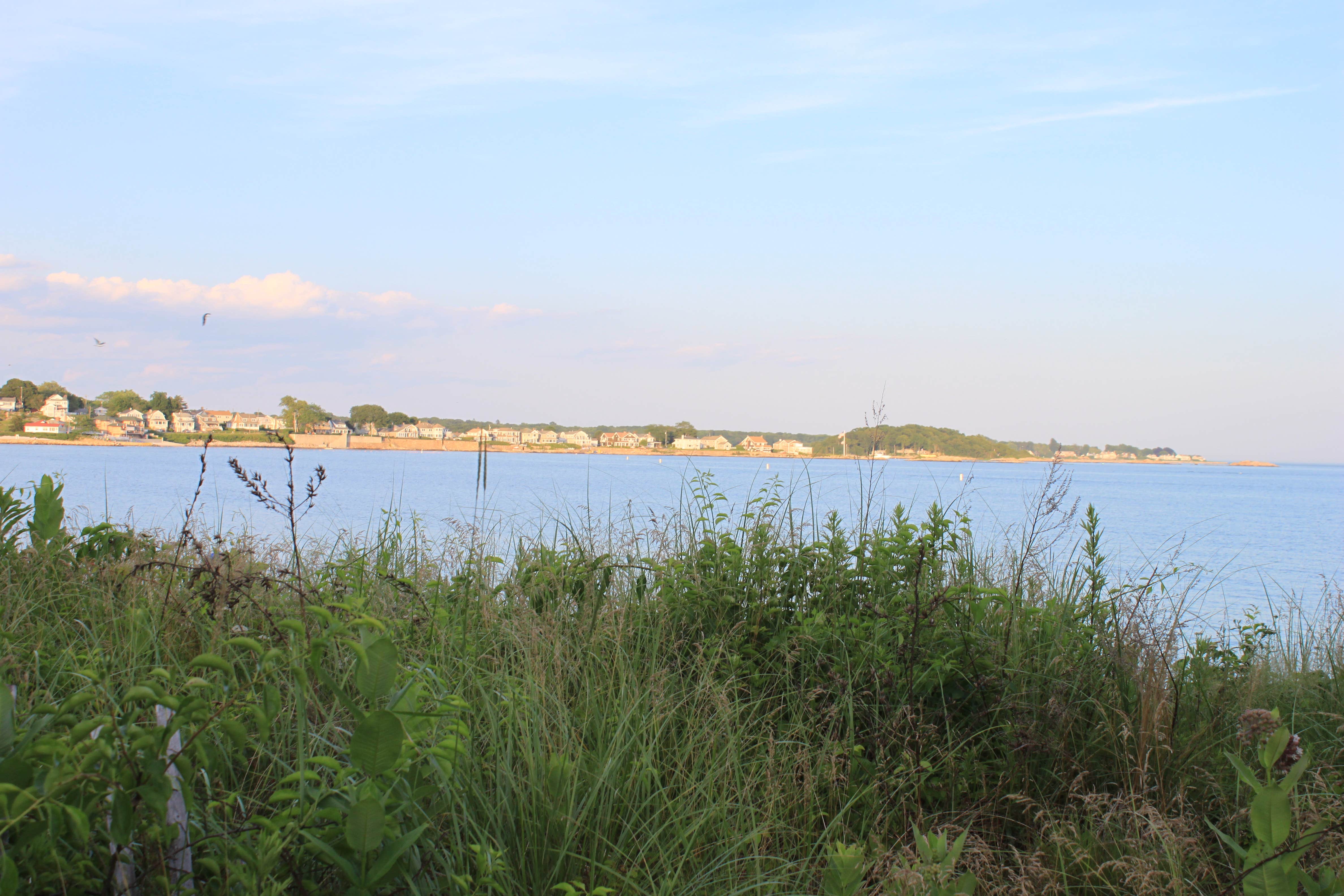 Escape to Tranquility: Connecticut's Rocky Neck State Park