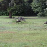 Review photo of Rocky Neck State Park Campground by Alex S., May 13, 2020