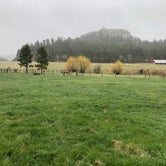 Review photo of Plenty Star Ranch - CLOSED by Kara L., May 13, 2020