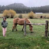 Review photo of Plenty Star Ranch - CLOSED by Kara L., May 13, 2020